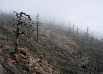 Photo by Intricate Explorer on Unsplash