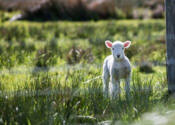 Photo by Rod Long on Unsplash