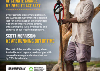 The full-page advertisement, sponsored by Greenpeace and others, which appeared in the Sydney Morning Herald