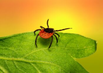 Photo by Erik Karits on Unsplash