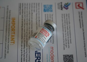 Photo by Ian Hutchinson on Unsplash