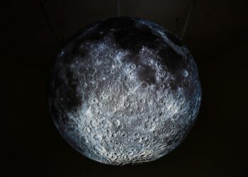 Photo by Robynne Hu on Unsplash