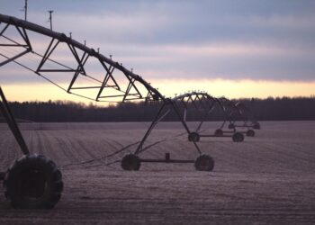 Photo by Nicole Geri on Unsplash