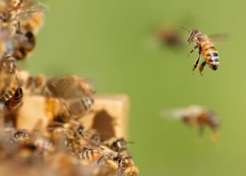 Photo by Damien TUPINIER on Unsplash