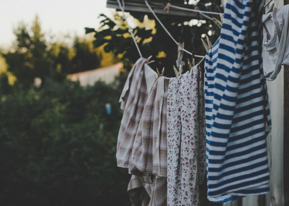 Photo by Daniel Spase on Unsplash