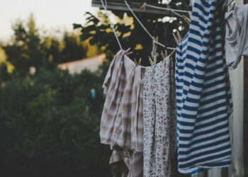 Photo by Daniel Spase on Unsplash