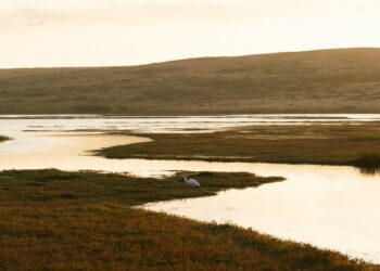 Photo by Mason Field on Unsplash