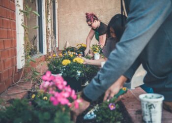 Photo by NeONBRAND on Unsplash