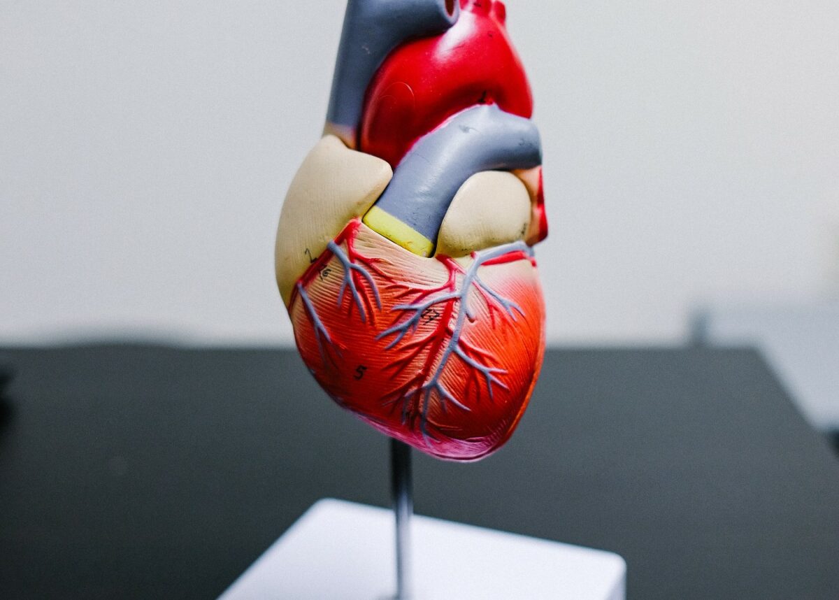 Photo by NeONBRAND on Unsplash