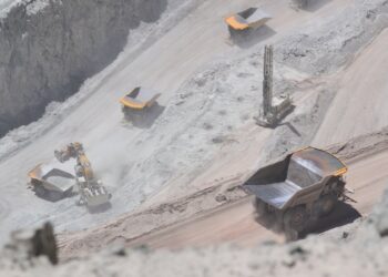 Photo by Bruna Fiscuk on Unsplash