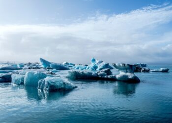 Photo by Davide Cantelli on Unsplash