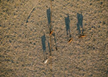 Photo by Josh Withers on Unsplash