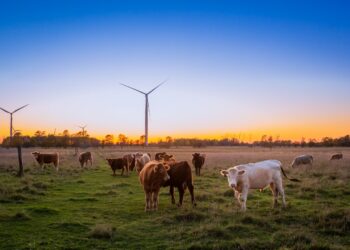 Photo by Evi T. on Unsplash