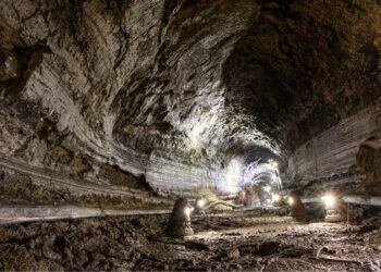 Photo by Deon Hua on Unsplash