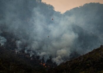 Photo by Matt Palmer on Unsplash