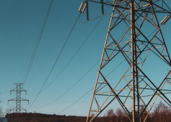 Photo by Sigmund on Unsplash