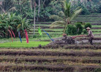 Photo by Pan Species on Unsplash