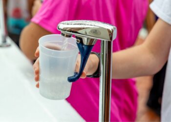 Photo by LuAnn Hunt on Unsplash