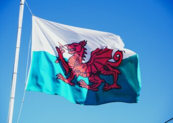 Photo by Catrin Ellis on Unsplash