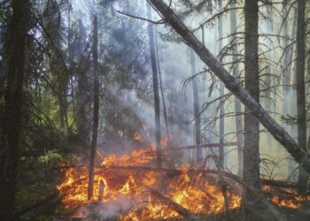 Photo by Landon Parenteau on Unsplash