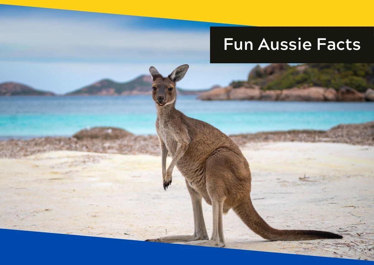 10 slightly obscure fun facts about Australia