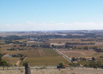 The Barossa Valley is expected to record significant crop damage from the storms. Photo credit: Scott Davis via Wikipedia