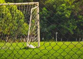 Photo by Maxtune Lee on Unsplash