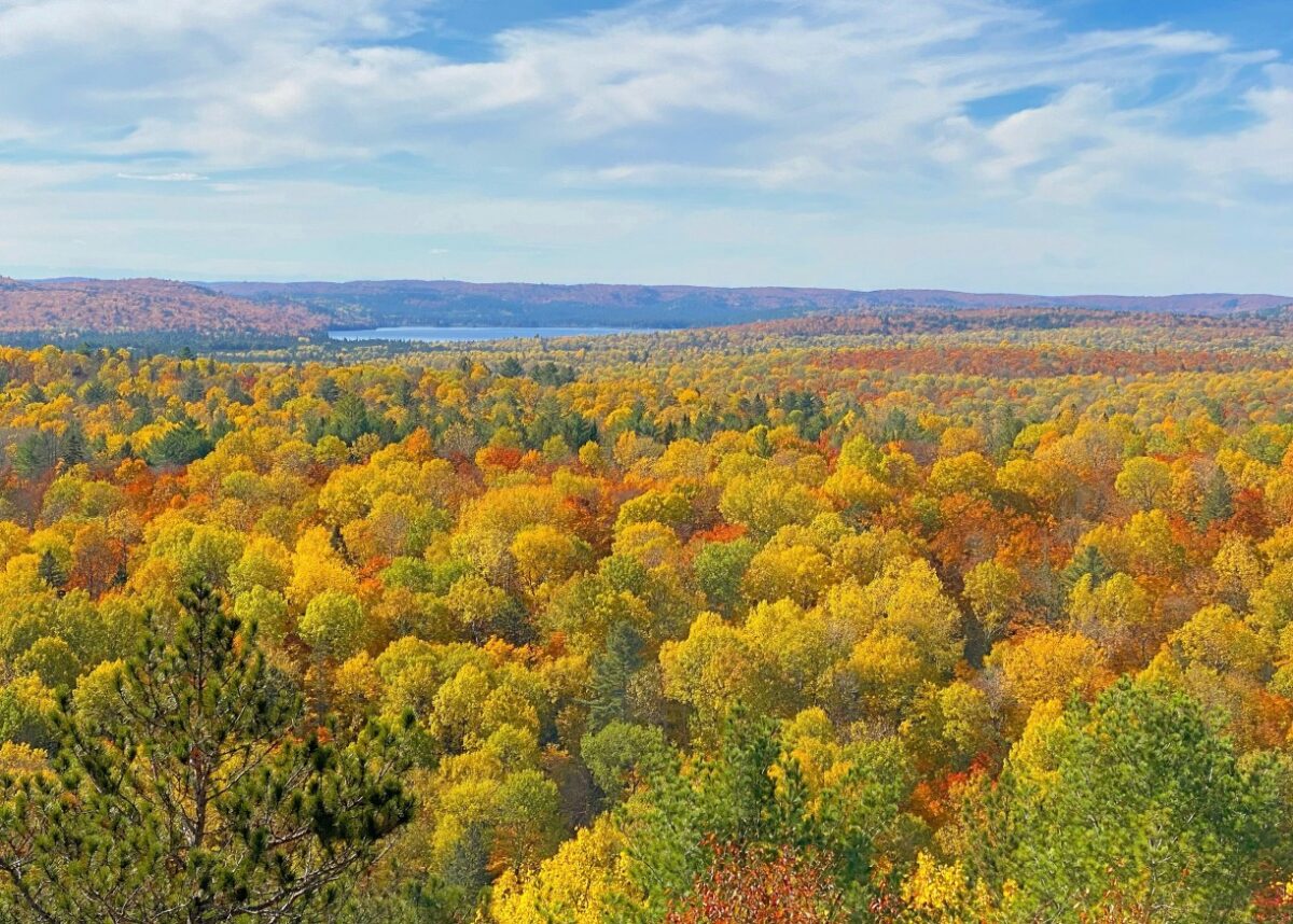 Photo by Jaime Dantas on Unsplash