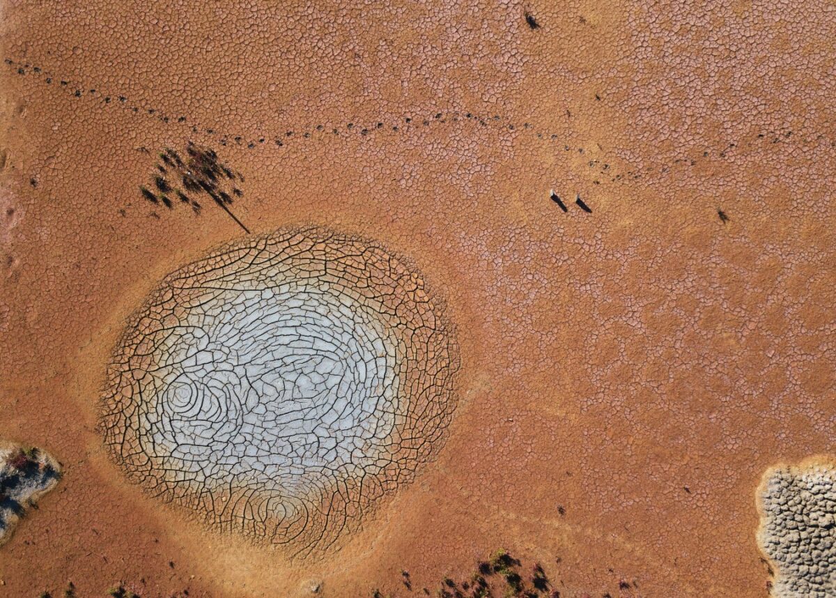 Photo by Olivier Mesnage on Unsplash