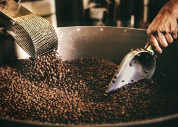 Photo by Tim Mossholder on Unsplash