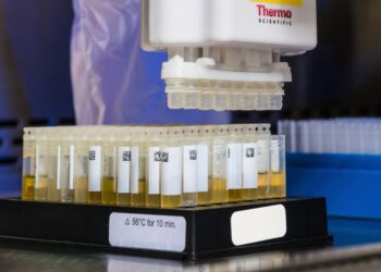 Photo by CDC on Unsplash