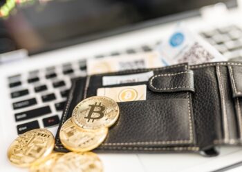 Different Types of Cryptocurrency Wallets