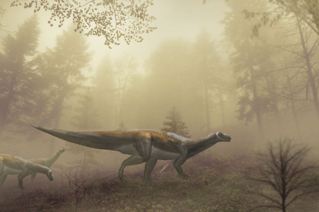 Photo credit: University of Queensland