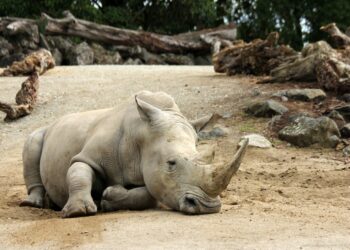 Photo by Sandy Millar on Unsplash