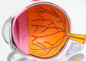 Photo by Harpreet Singh on Unsplash