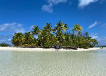 Photo by Christoph Burgdorfer on Unsplash