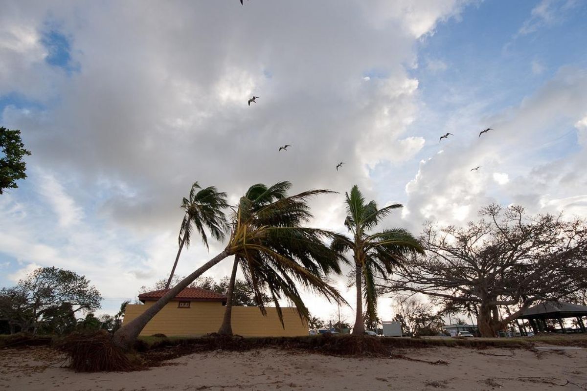 Queensland Thunderstorms to follow after scorching weekend