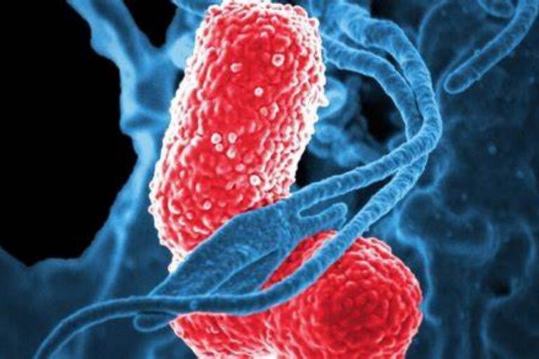 Rare 'flesh eating' STD spreading in the United Kingdom