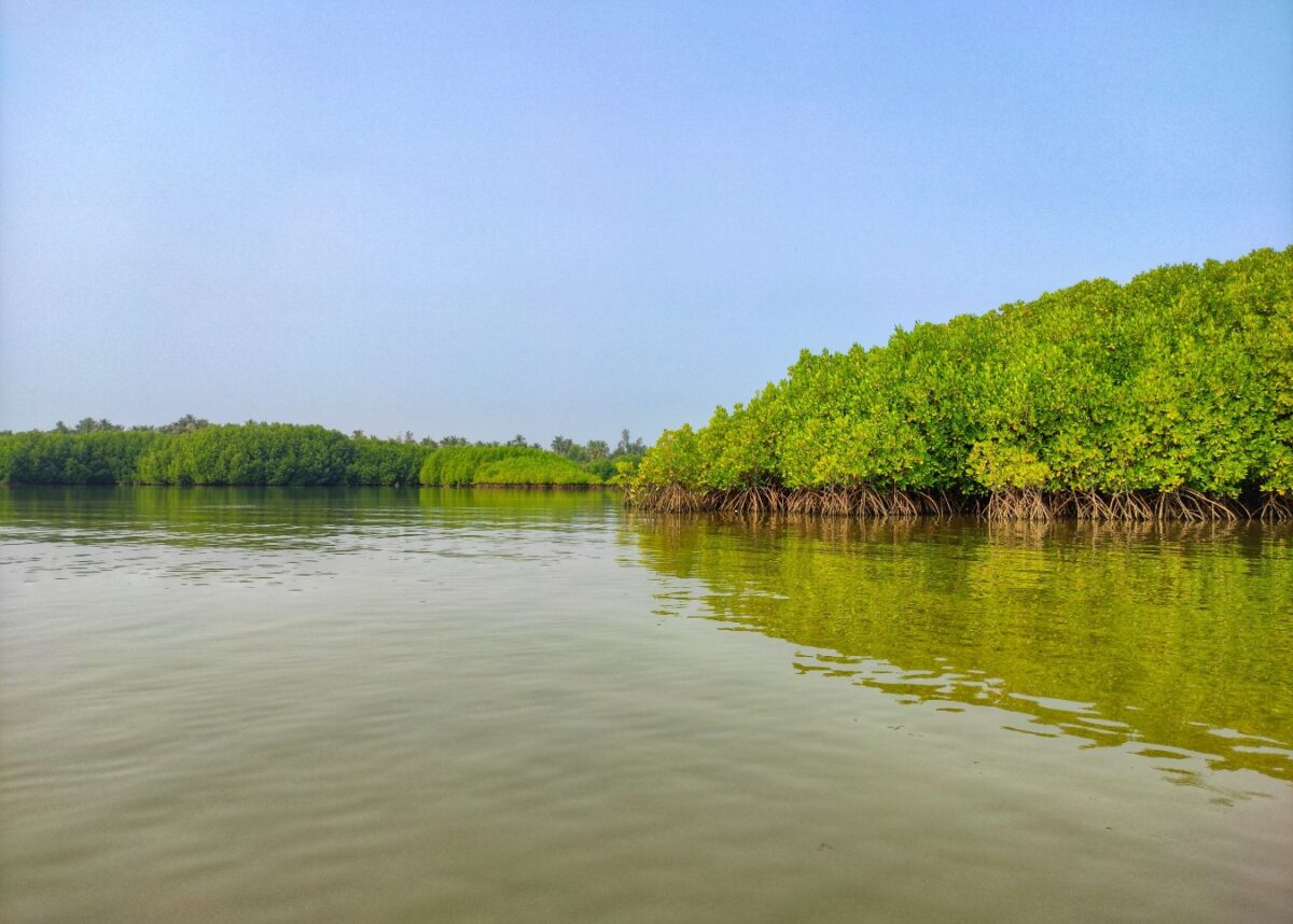 Photo by Vishwasa Navada K on Unsplash