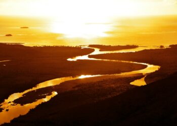 Photo by Jeremy Bezanger on Unsplash