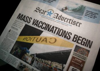 Photo by little plant on Unsplash