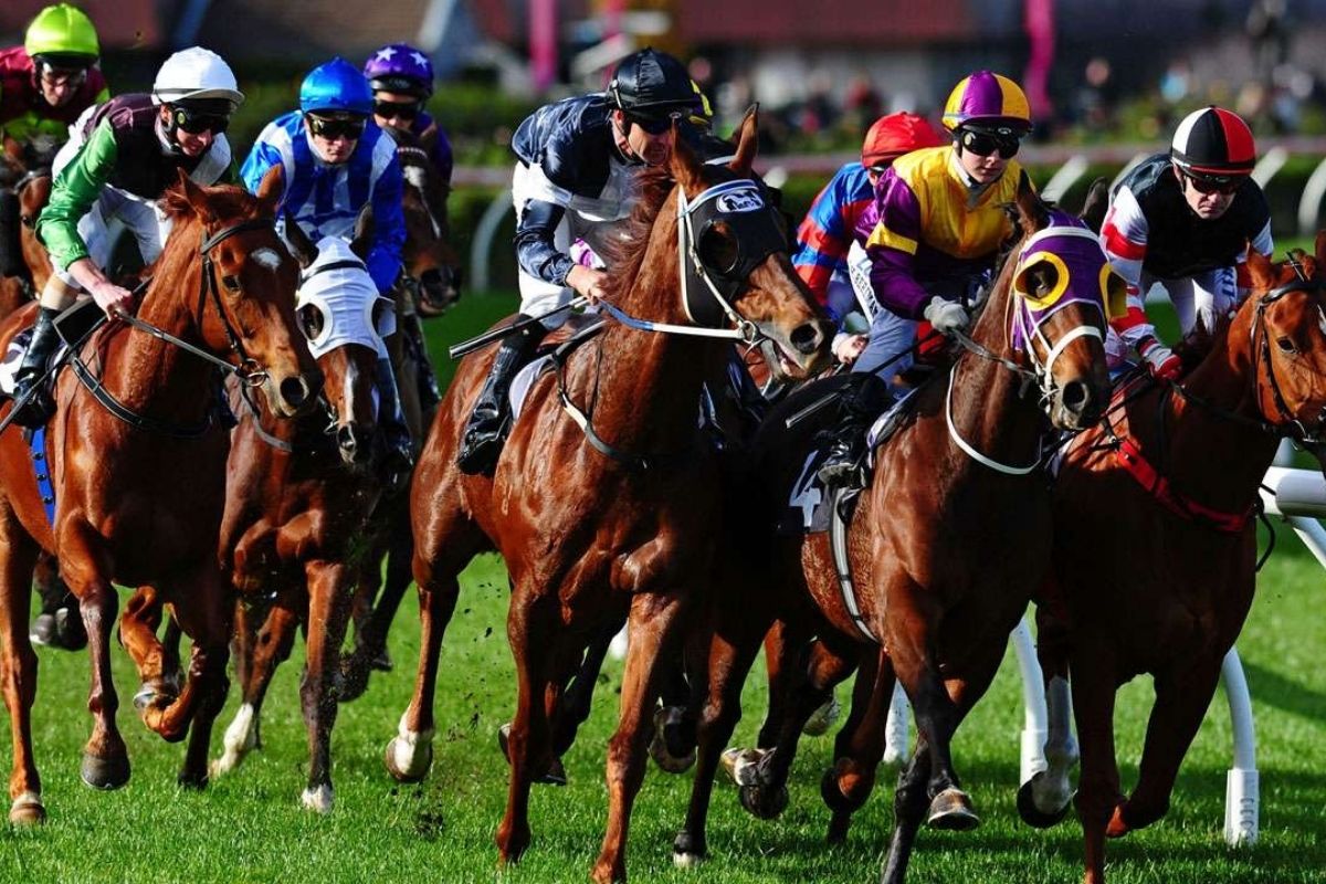 Victoria is open and back for business - The Melbourne Cup Carnival