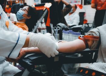 Photo by Nguyễn Hiệp on Unsplash