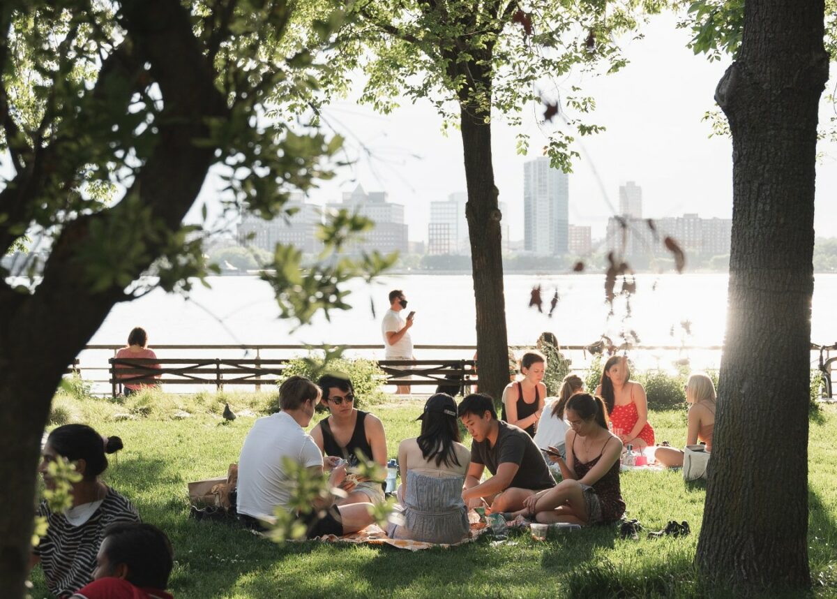 Photo by Mason Dahl on Unsplash