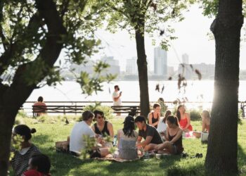 Photo by Mason Dahl on Unsplash