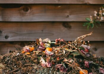 Photo by Edward Howell on Unsplash