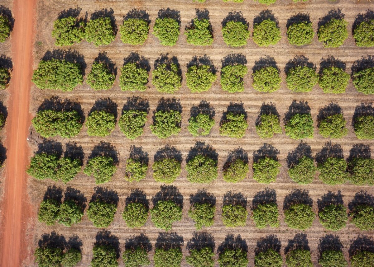 Photo by GeoNadir on Unsplash