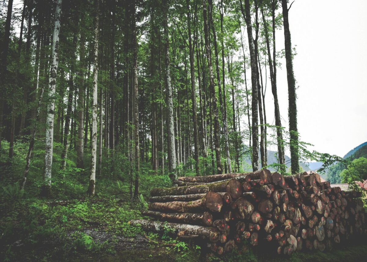 Photo by Jace & Afsoon on Unsplash