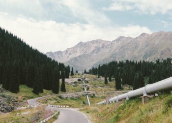 Photo by Darya Jum on Unsplash