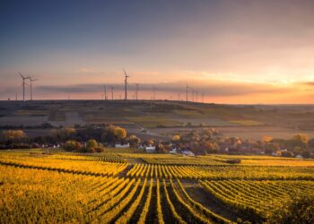 Photo by Karsten Würth (➡️ @karsten.wuerth) on Unsplash